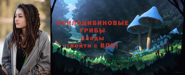 героин Алексин