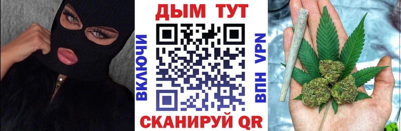 Канабис планчик Динская